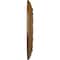 Ekena Millwork Colton Ceiling Medallion (Fits Canopies up to 4 3/4"), Hnd-Painted Smokey Topaz, 15 3/4"OD x 1 1/2"P CM15CNSTF - alternate 4